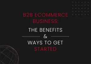 B2B-ecommerce