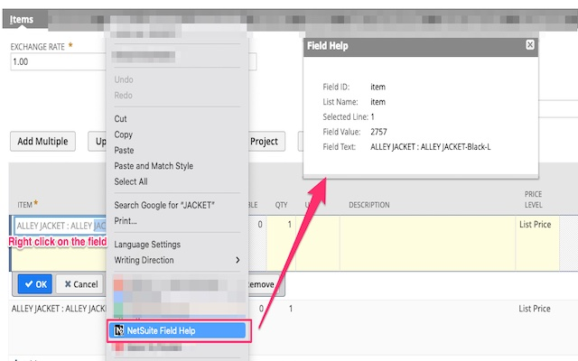 NetSuite Advanced Field Help - Extension for Chrome