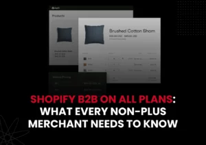 Shopify B2B on all plans: What Every Non-Plus Merchant Needs to Know